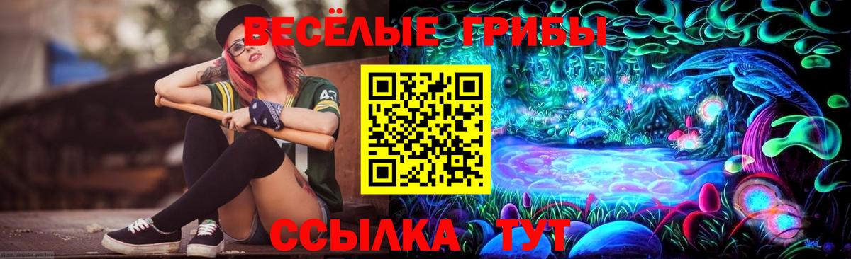 Галлюциногенные грибы мухоморы Костомукша